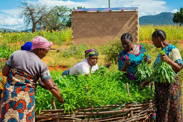 Community Composting